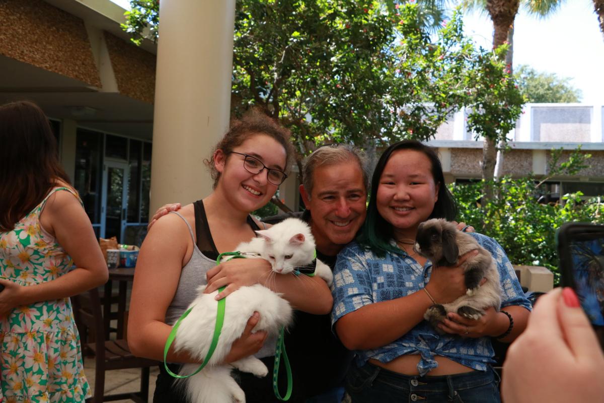 Pet Blessing 2019 - cat & bunny