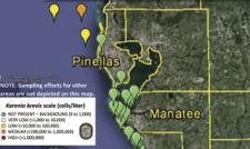 Red tide approaches western Florida shores | Science Technology ...
