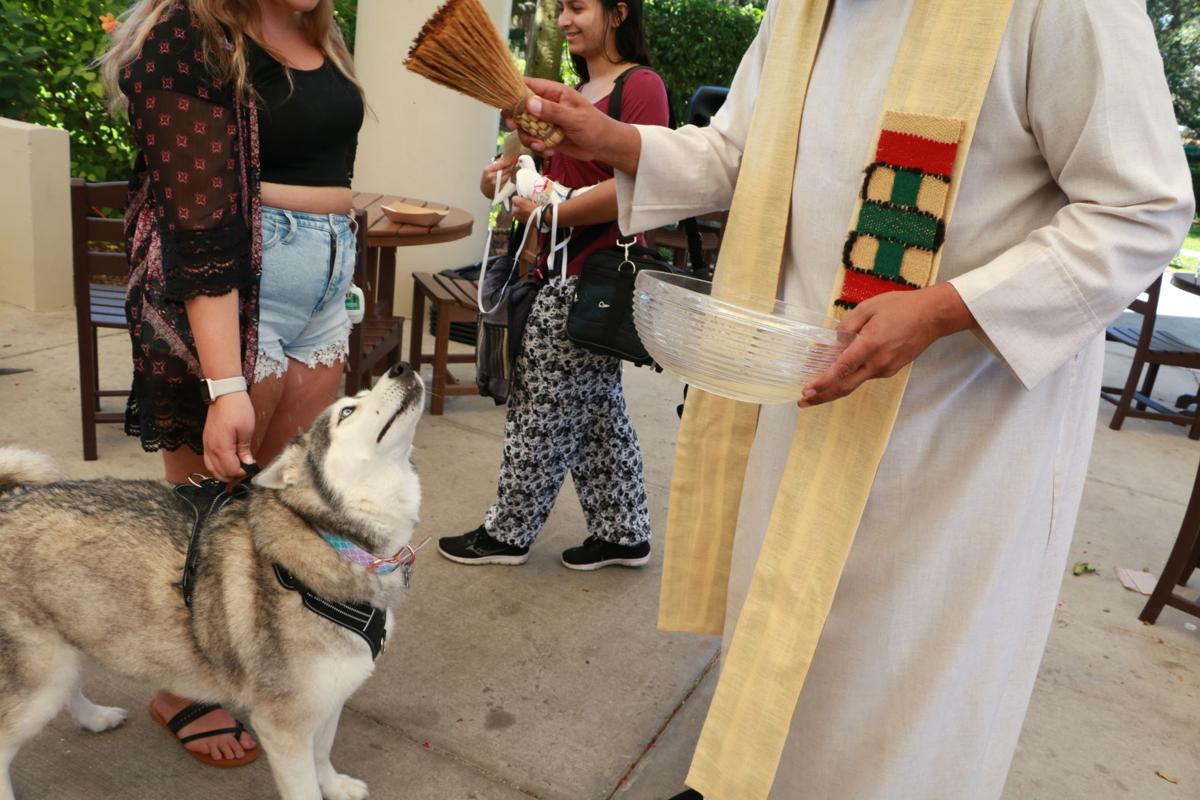 Pet Blessing 2019 - dog