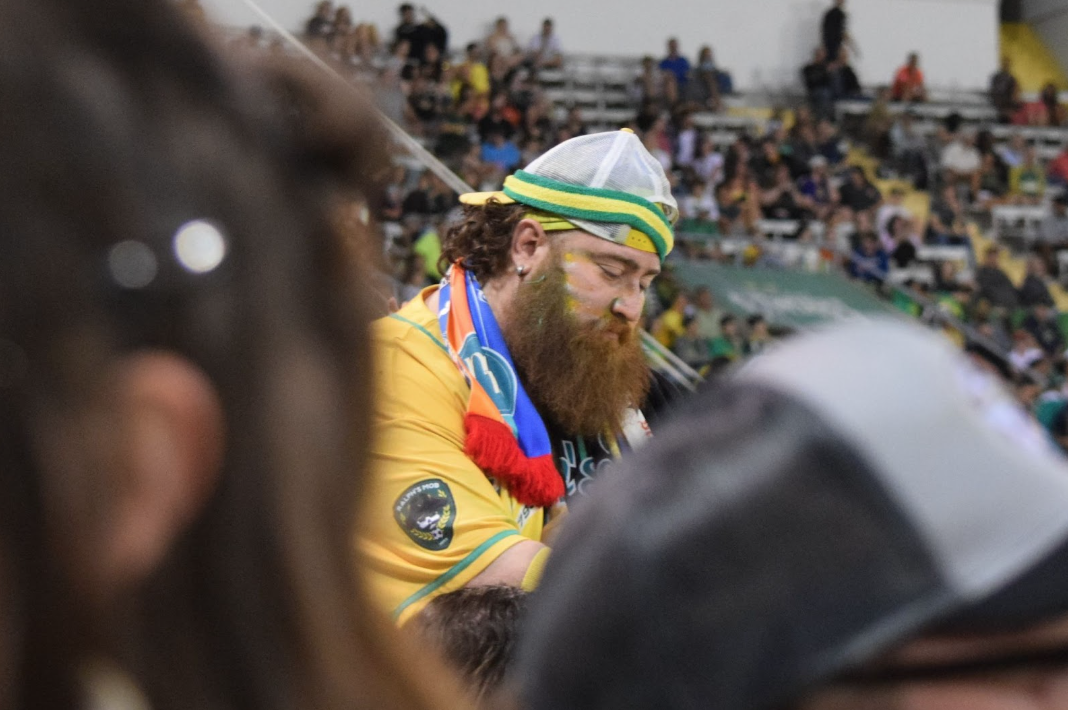 crazy fan  The Baseball Collector