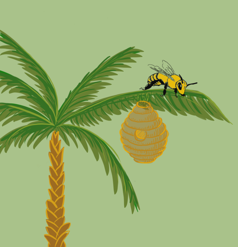 Eckerd College’s new Bee Club buzzes with exciting plans | Science And ...