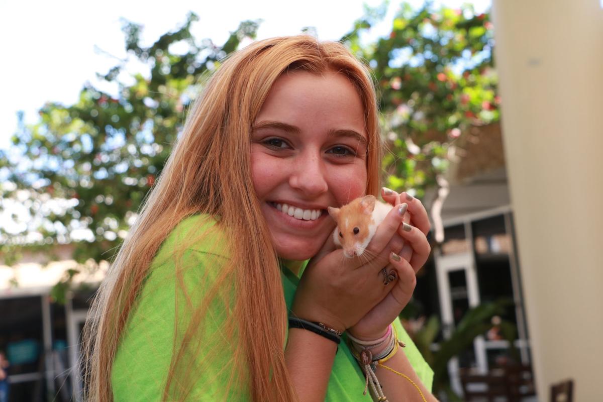 Pet Blessing 2019 - hamster