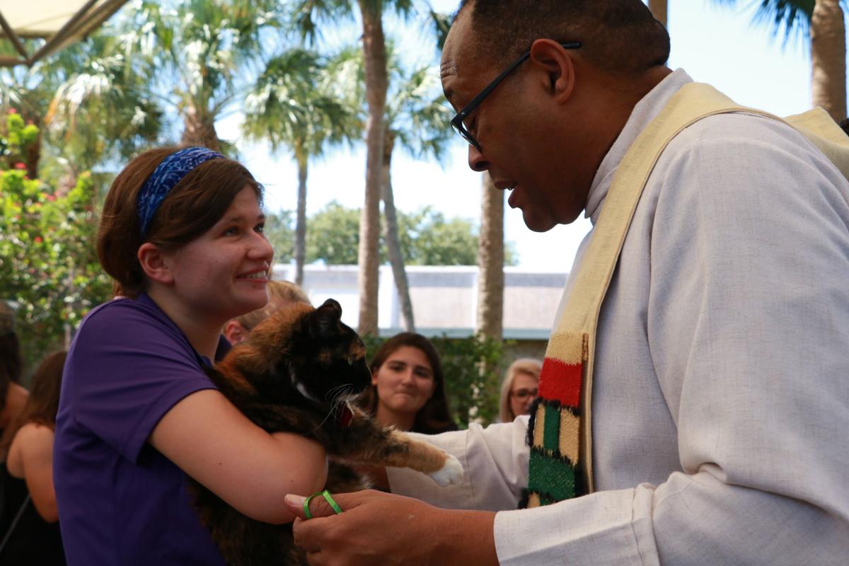 Pet Blessing 2019 - cat