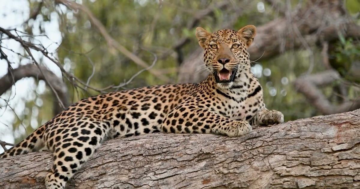Sefhare Cultural and Natural Environments of the World: Botswana | Multimedia ...