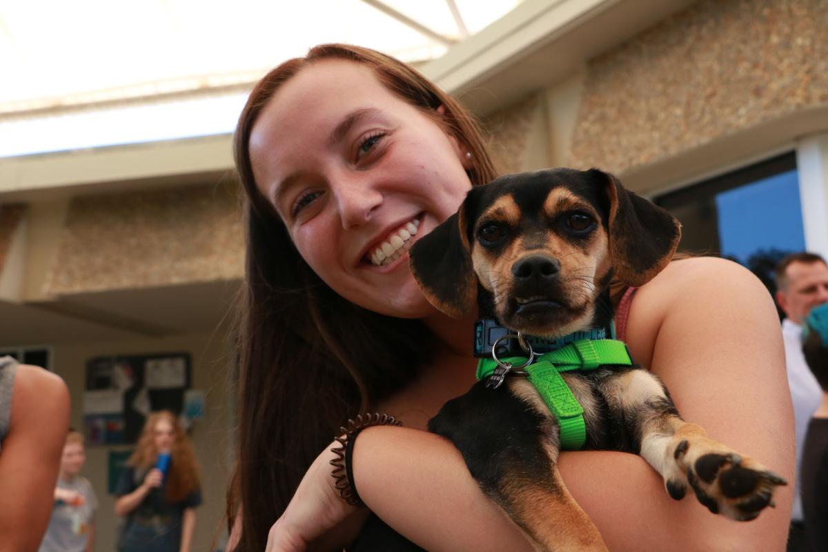 Pet Blessing 2019 - dog