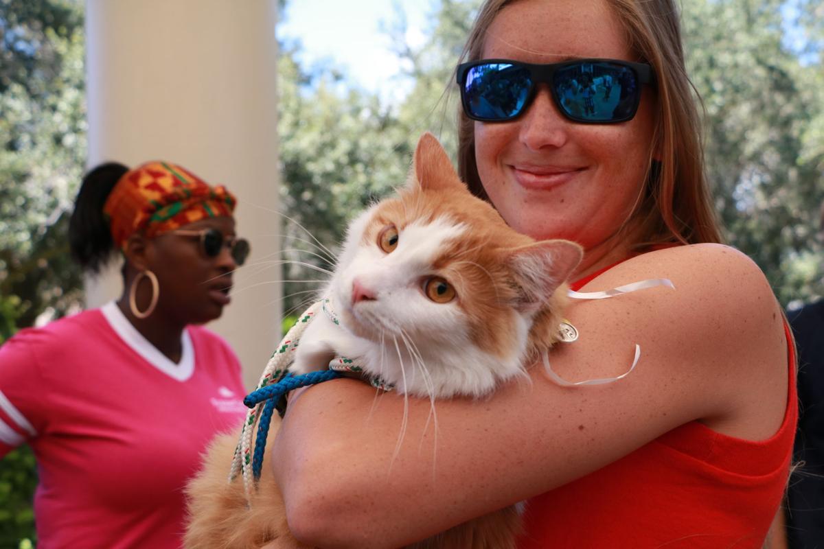 Pet Blessing 2019 - skyway