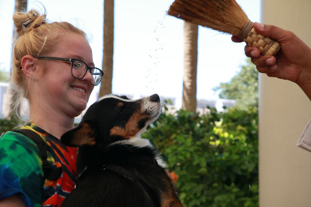 Pet Blessing 2019 - dog