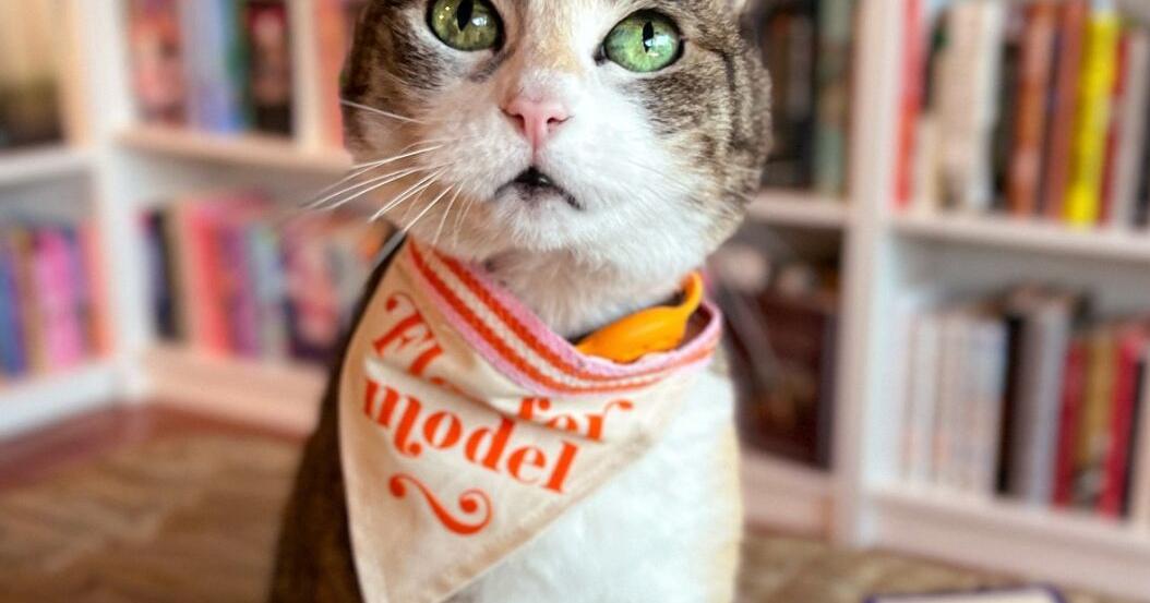 This Locally Famous Feline is Featured in a New Book