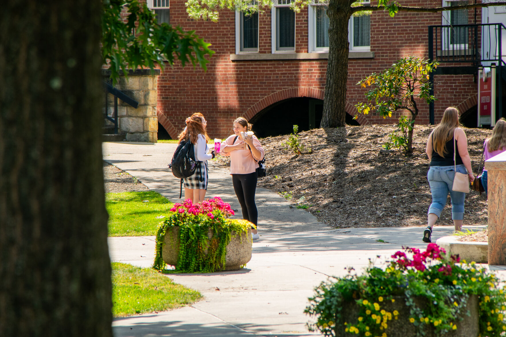 Fall 2025 drop/add deadline quickly approaches | News | thepenn.org