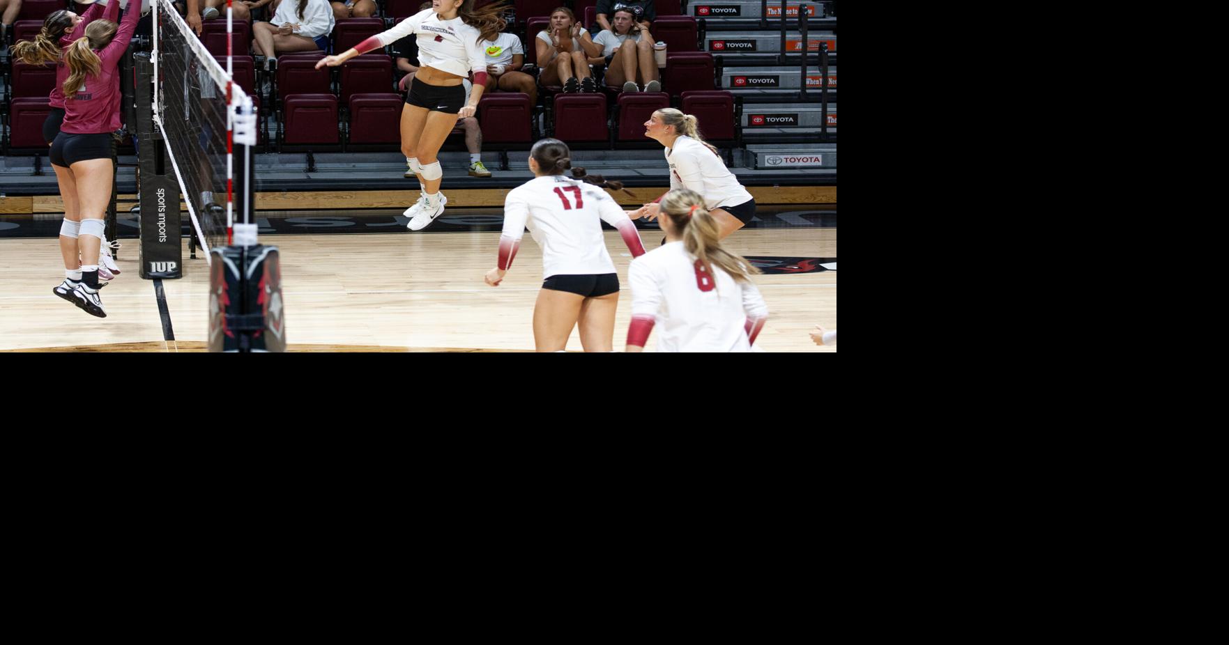 VB: Potvin's career night leads Hawks past Lock Haven | Sports ...