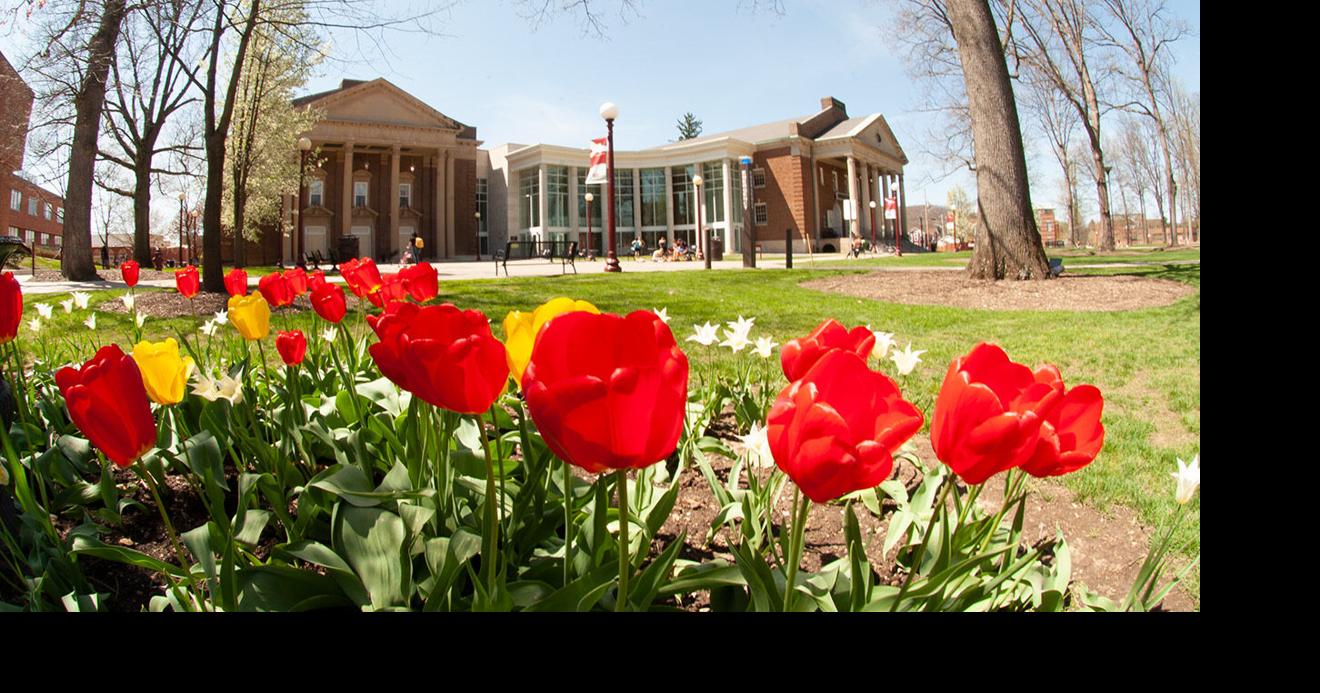 Crimson Hoax IUP spices up spring break, offers paid plans Culture