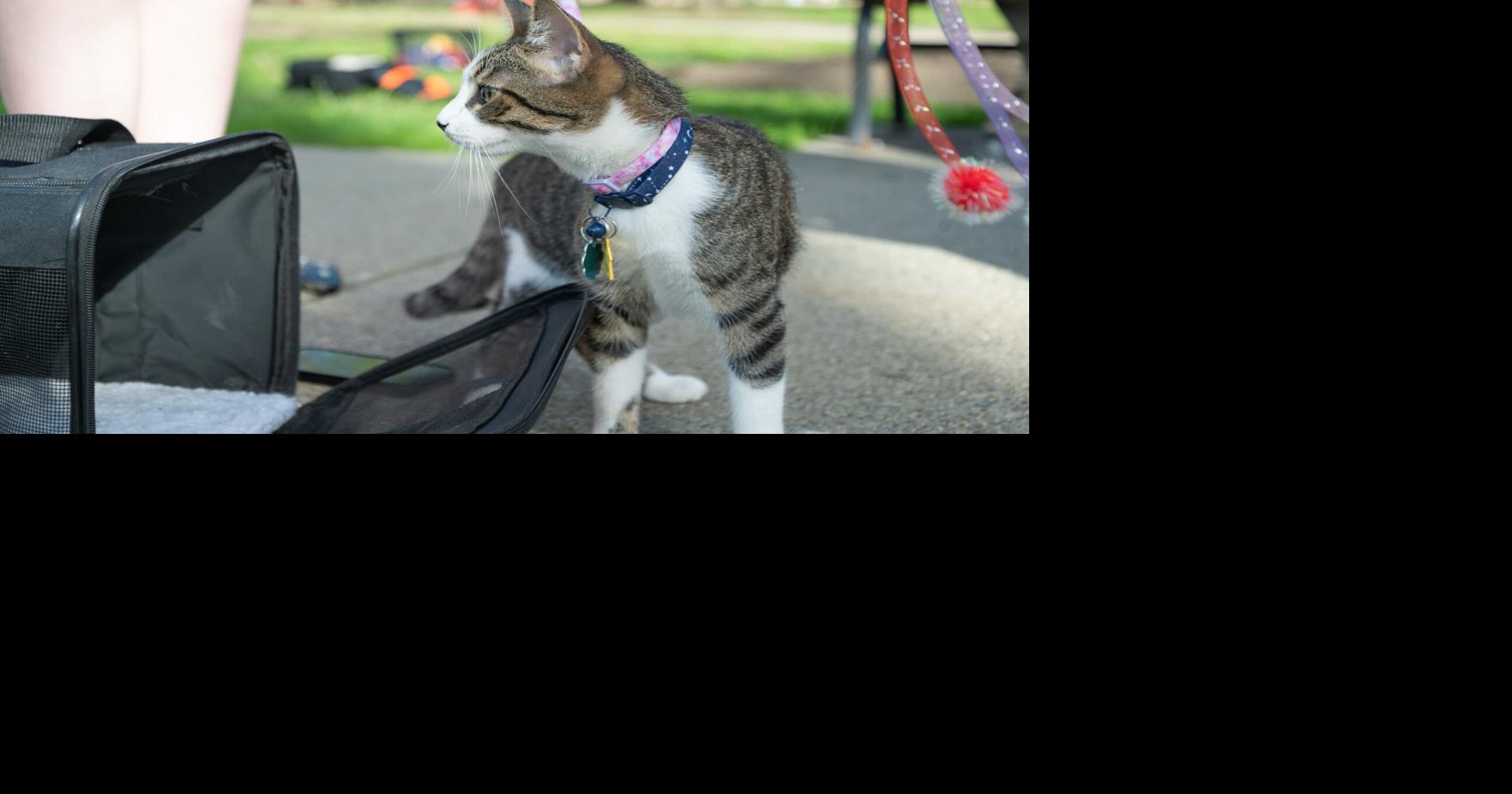 From cats to cockroaches: IUPets brings together IUP's pet community
