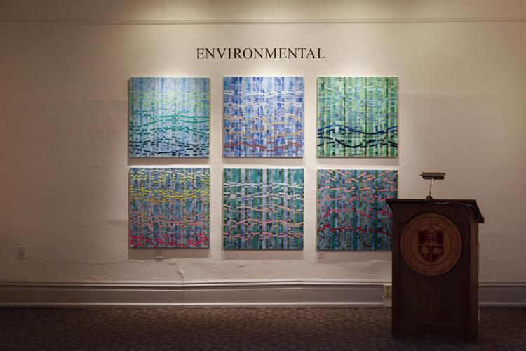'Bringing the outside in' at 'Environmental' art exhibit (1/7)
