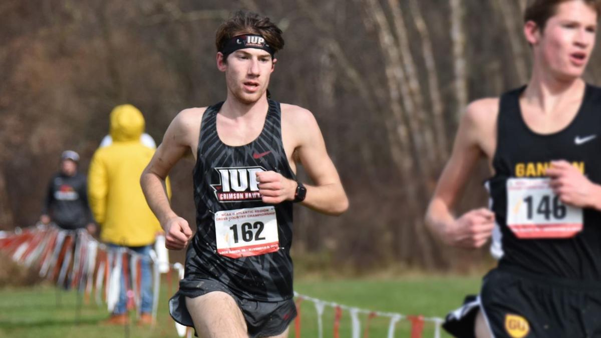 IUP Cross Country