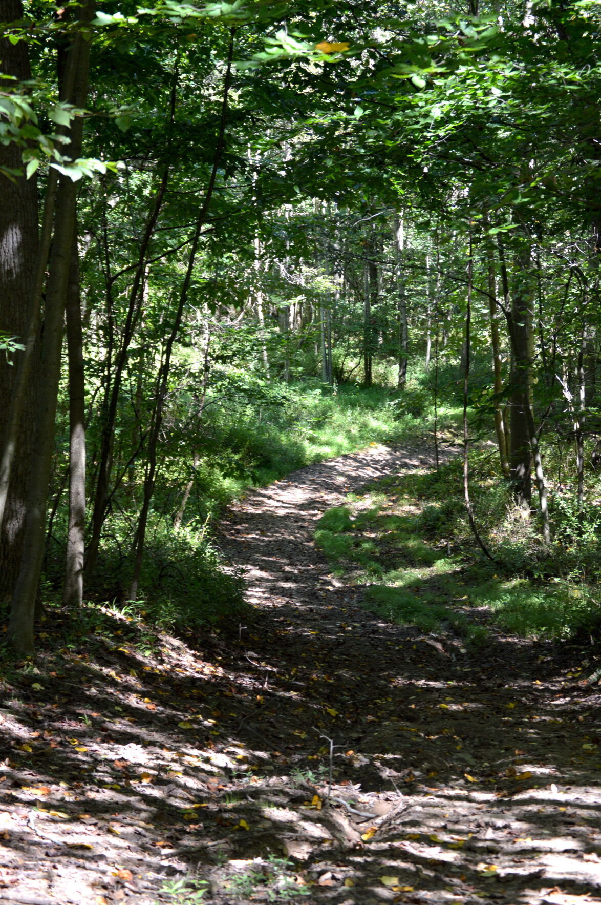 path