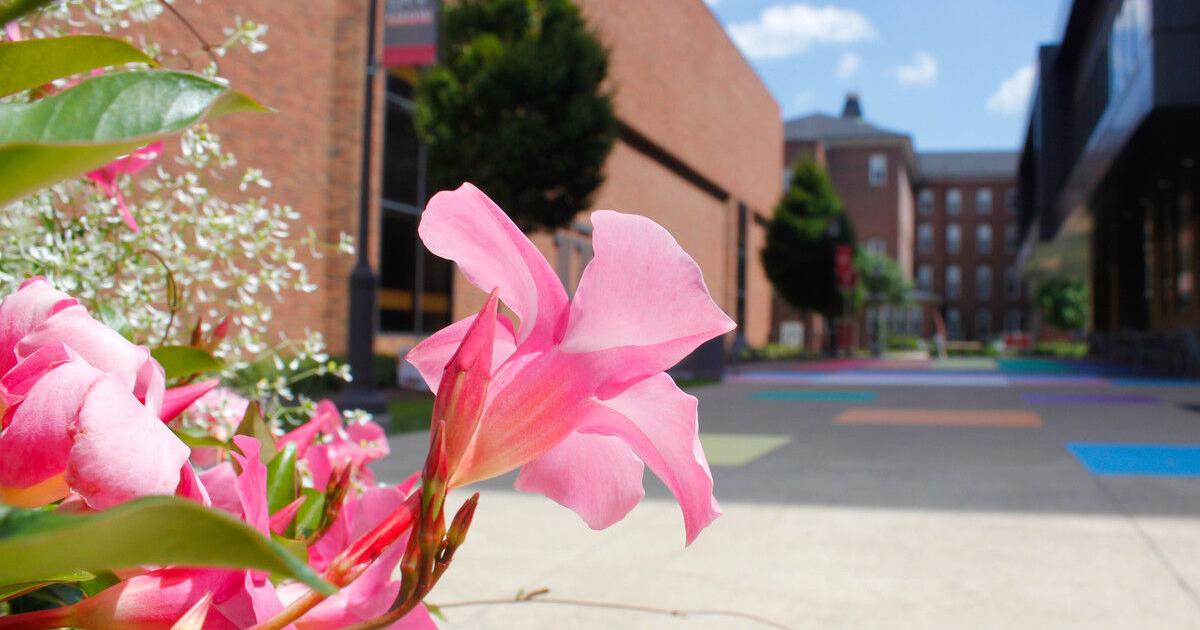 More than words: the identity of a “no sabo” kid | Opinion | thepenn.org