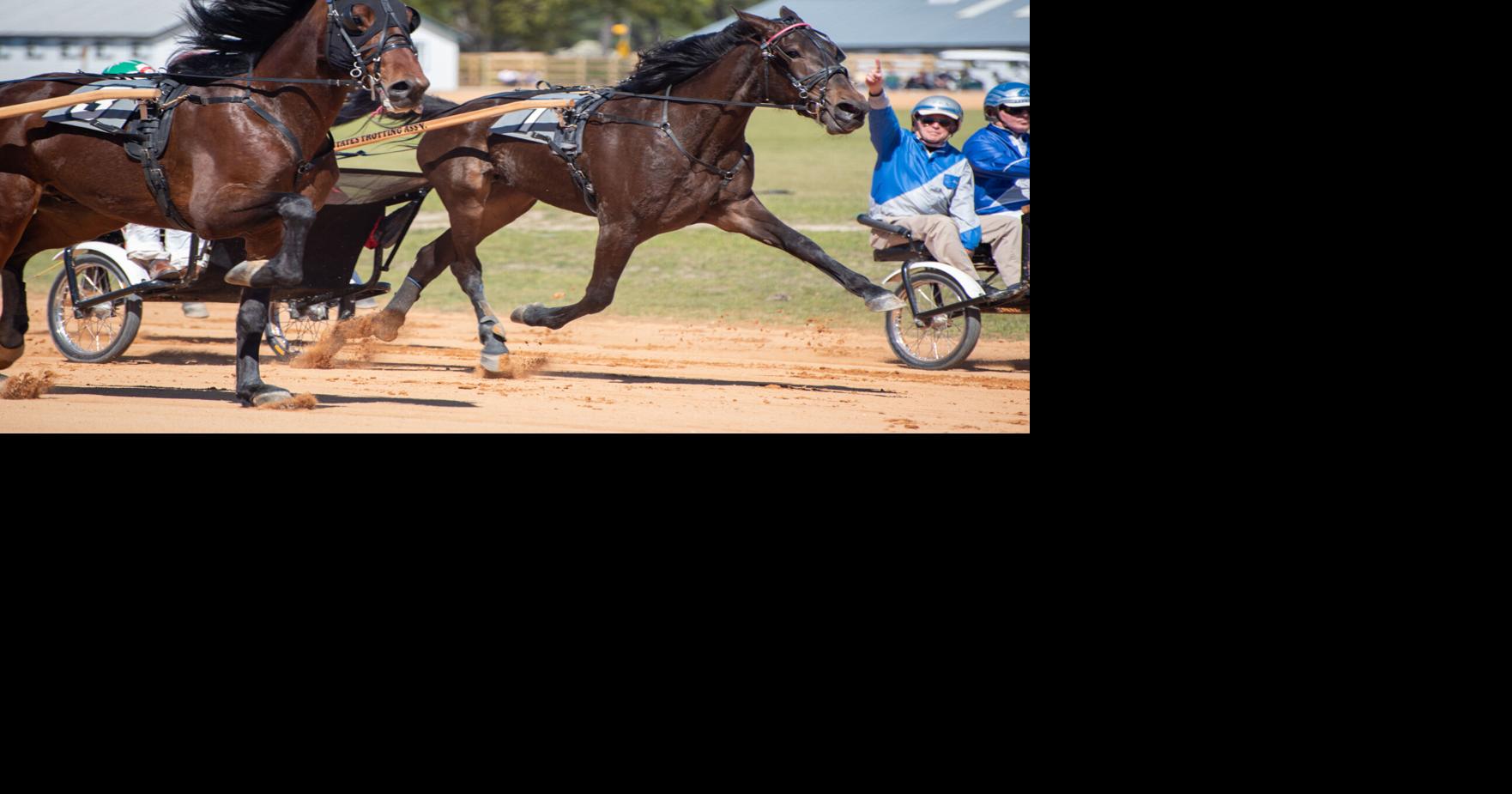 Annual Matinee Races at the Pinehurst Horse Track Gallery