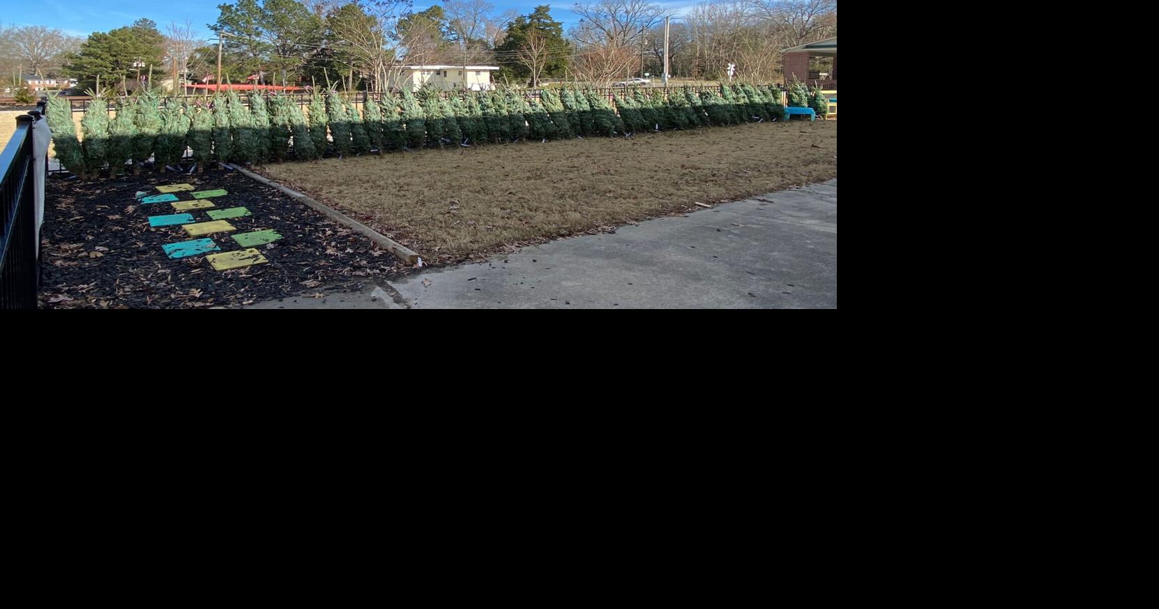Local Garden Club Donates Christmas Trees and Hams to Families in Need ...