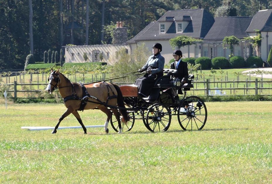 Combined Driving Event, Big Sky Farm Multimedia