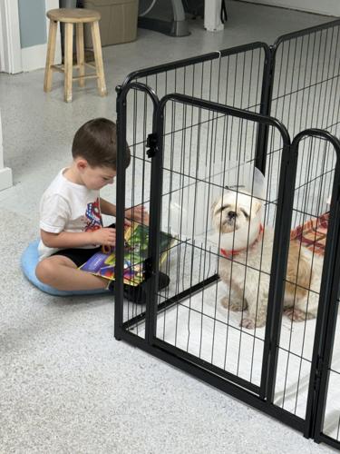 Rescue Reader Program Teaches and Heals