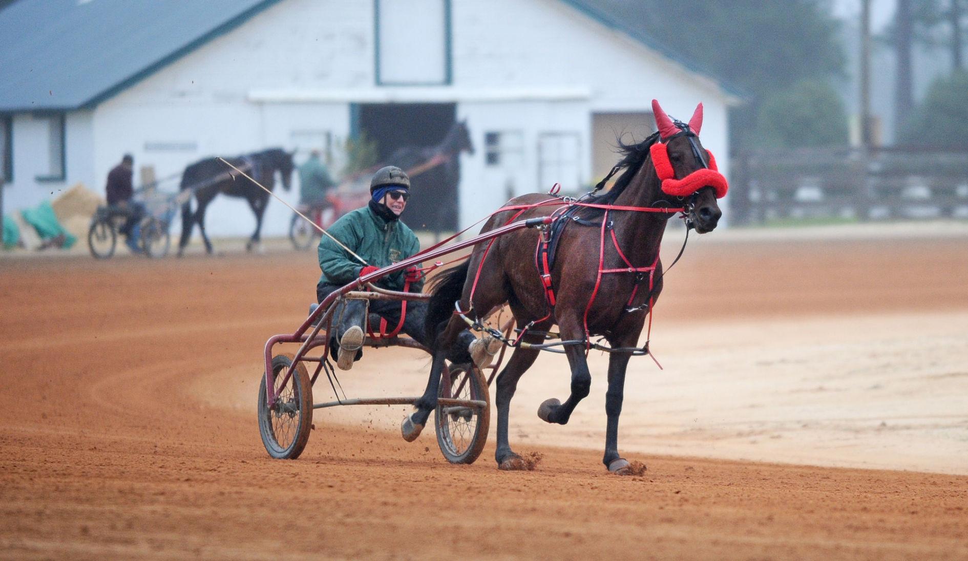 Readying for the Races Harness Track Reigns as Pinehurst Showcase