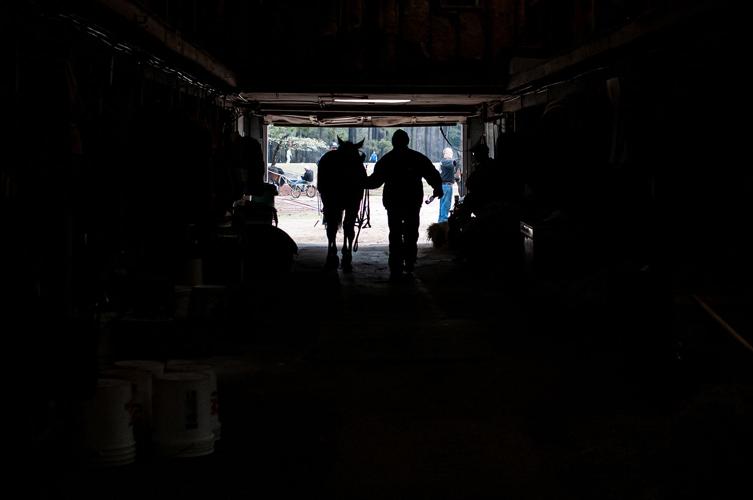 Spring Matinee Harness Races Multimedia