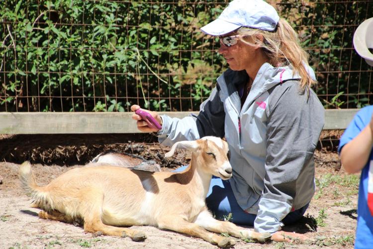 Spring Farm Day Gallery