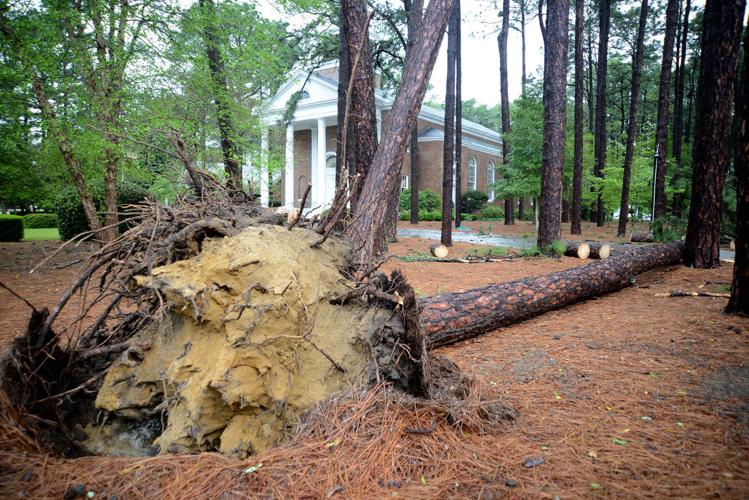 Photos: Storms Cause Property Damage in the Sandhills | News | thepilot.com