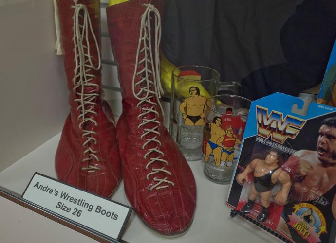 Andre of Ellerbe 'A Gentle Giant' Features