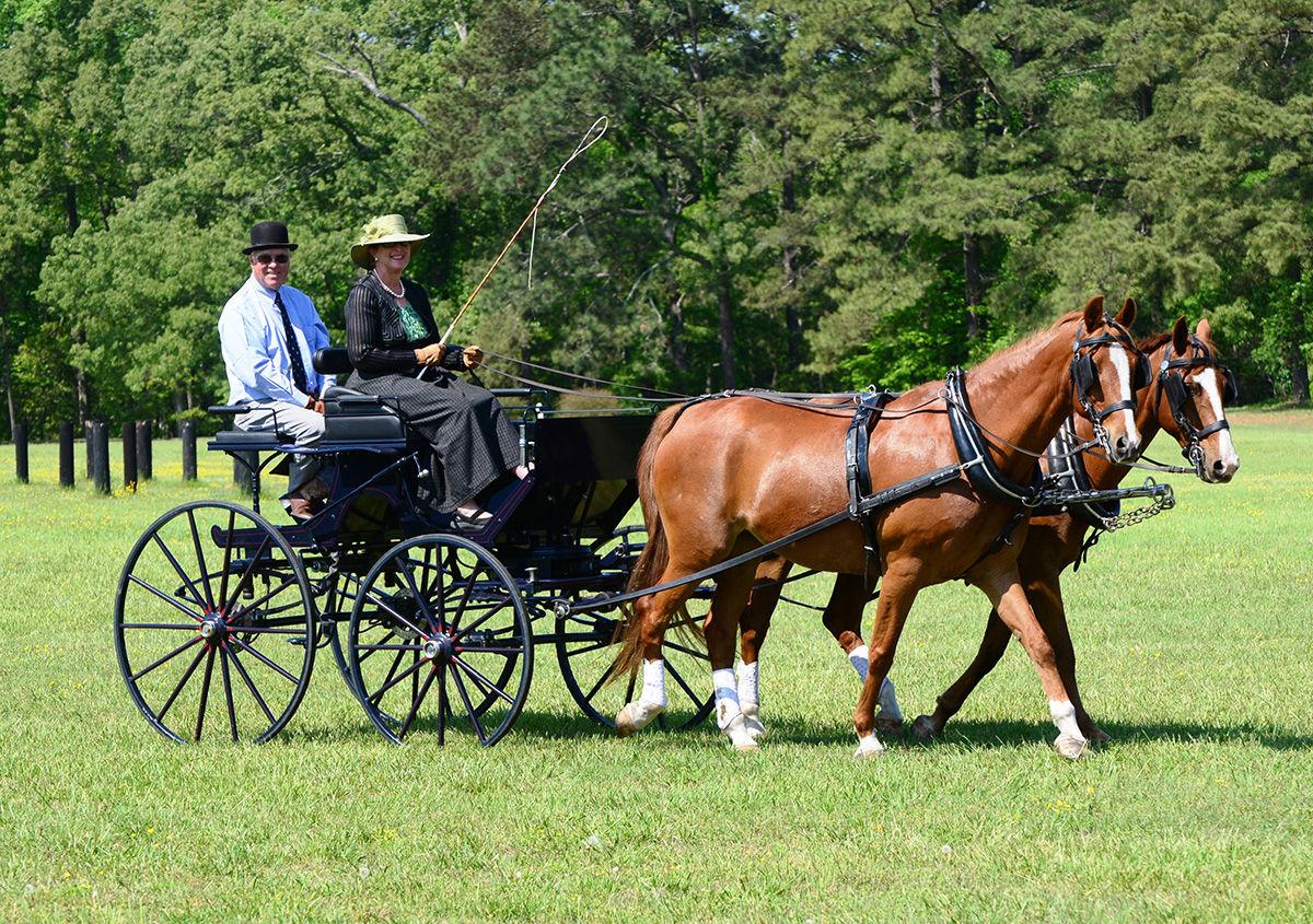 FourinHand Carriage Driving at Big Sky Farm Hoofbeats