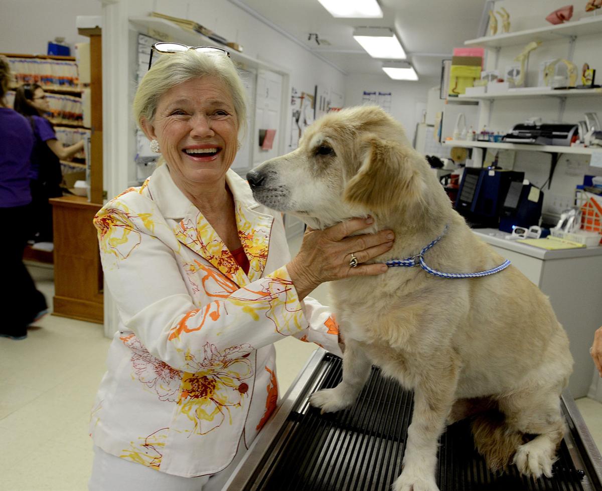 Hanging Up The White Coat Beloved Vet Retires Features Thepilot Com