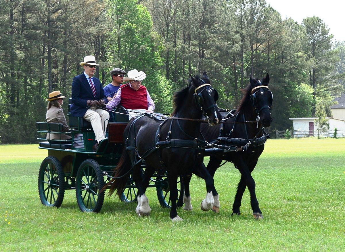 FourinHand Carriage Driving at Big Sky Farm Hoofbeats