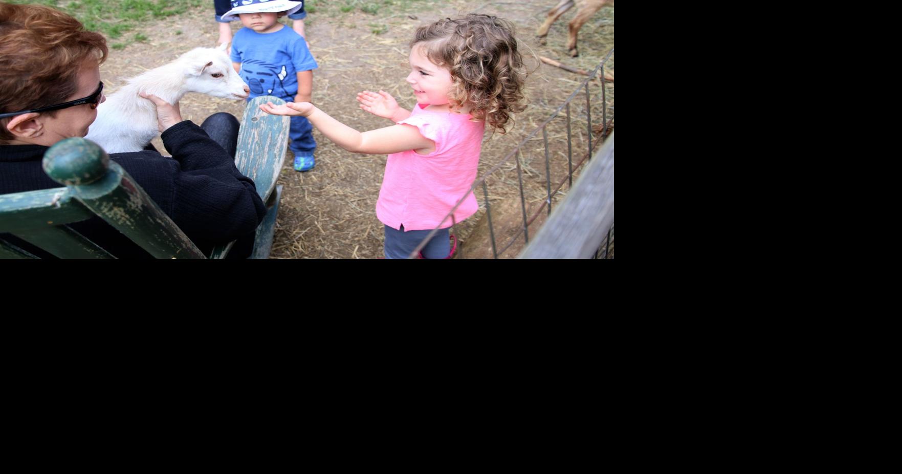 Spring Farm Day Gallery