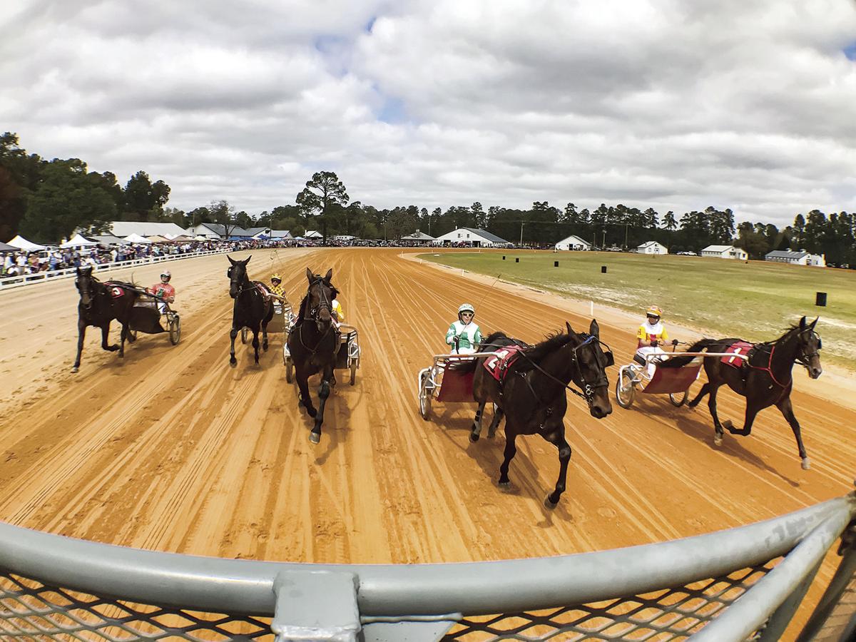 Spring Matinee Harness Races Multimedia