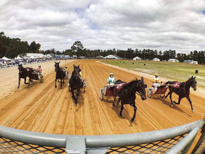 Spring Matinee Harness Races Multimedia