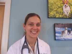 New Vet Joins SP Practice | Business | thepilot.com