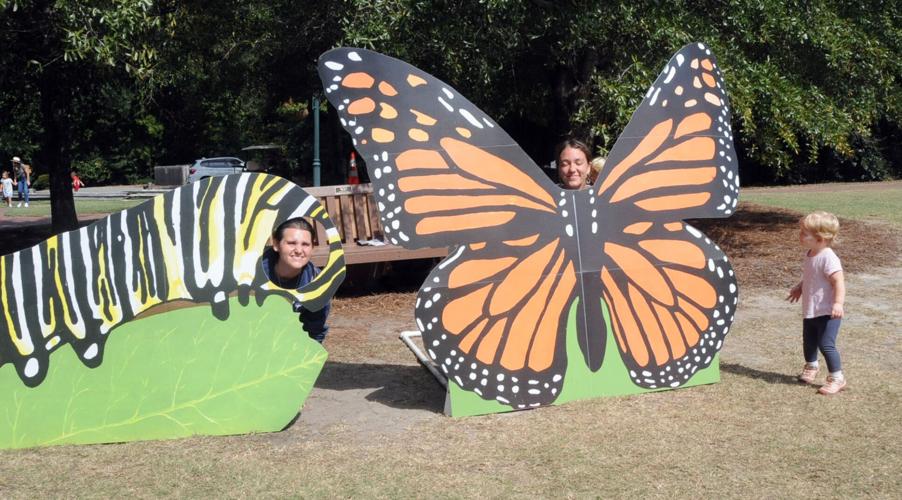Flutterby Festival