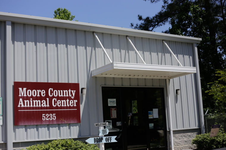 Animal Advocates Question Shelter KillRates News