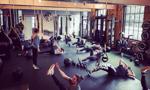 Workhorse Fitness