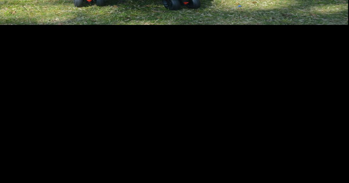 Sandhills Dog Fair