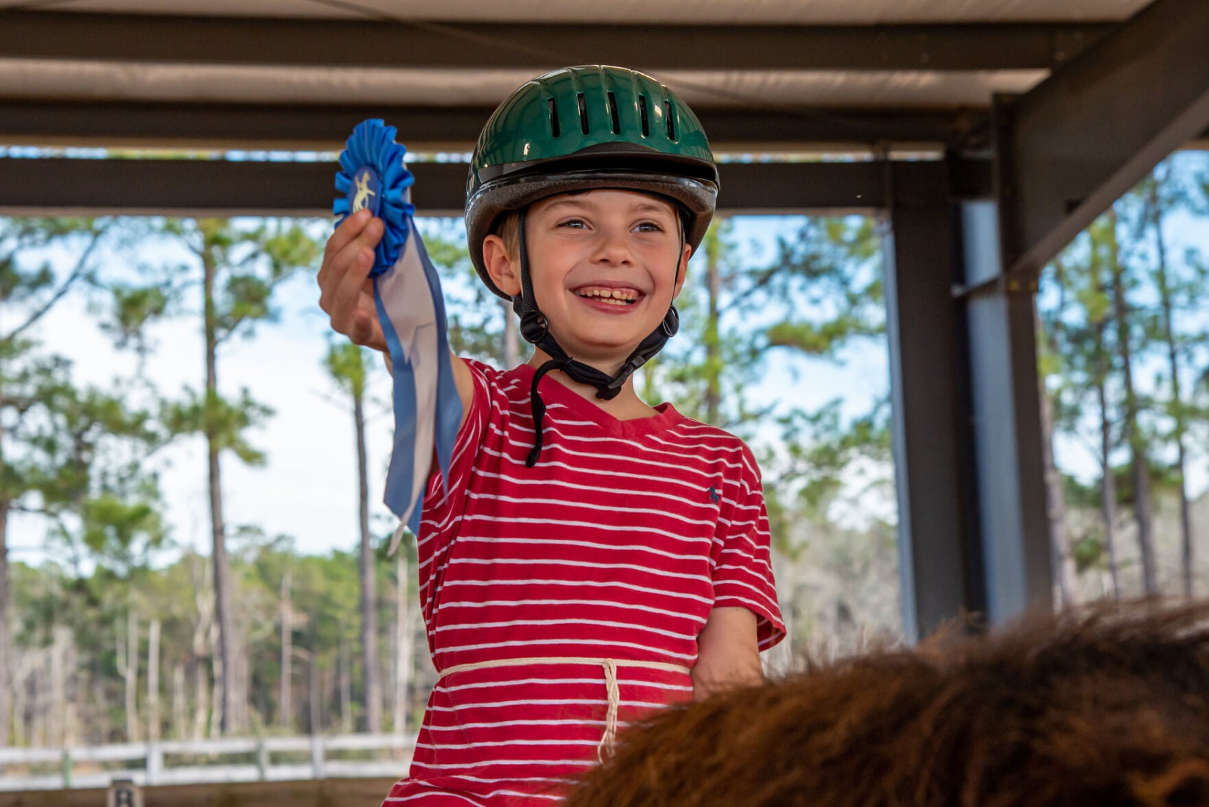 Prancing Horse Spring Horse Show Highlights Programs | Features ...