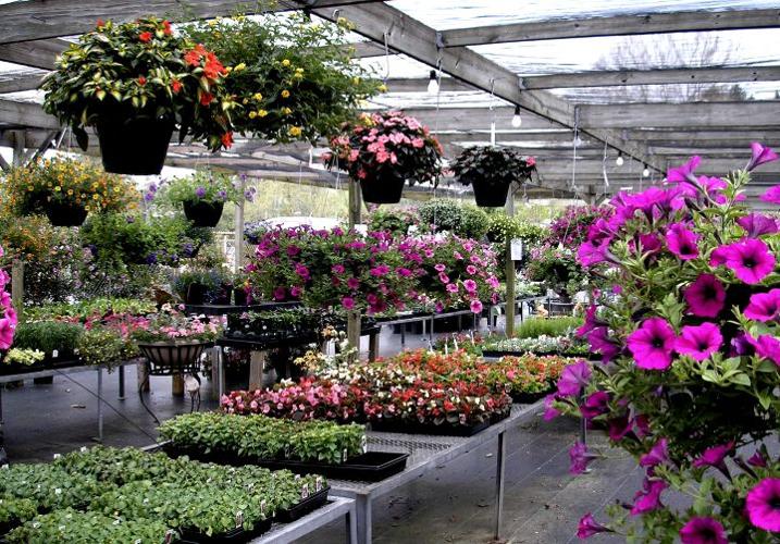 The Great Cultivator, Peele is No Shrinking Violet Business