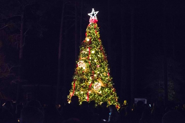 Pinehurst Christmas Tree Lighting Event Gallery