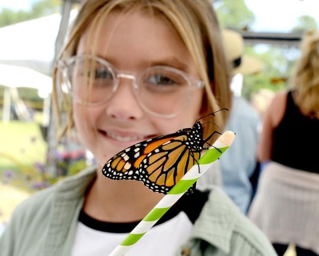 Flutterby Festival