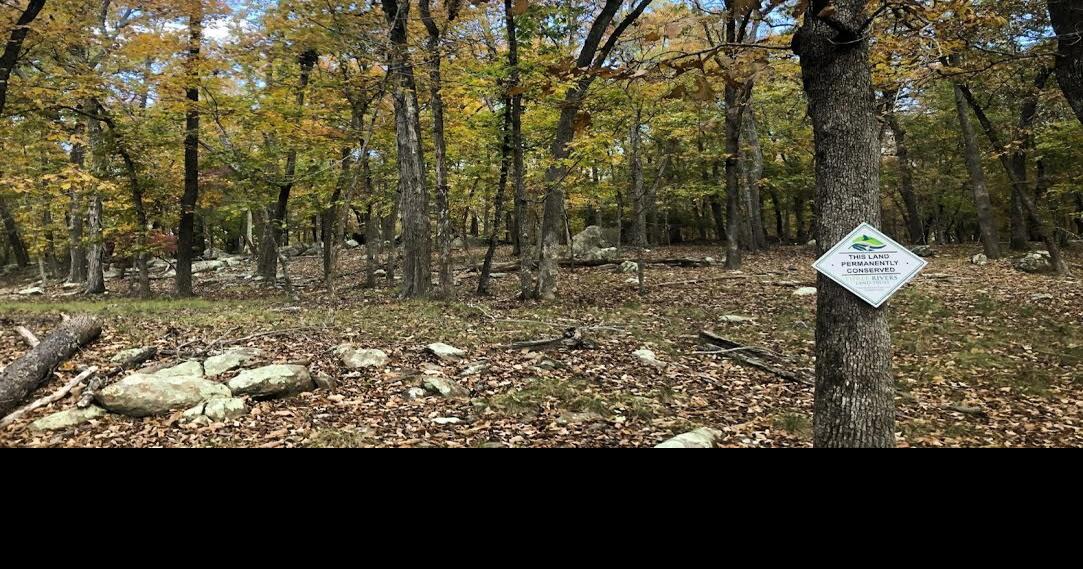 215 Acres Adjacent to Morrow Mountain State Park Conserved News