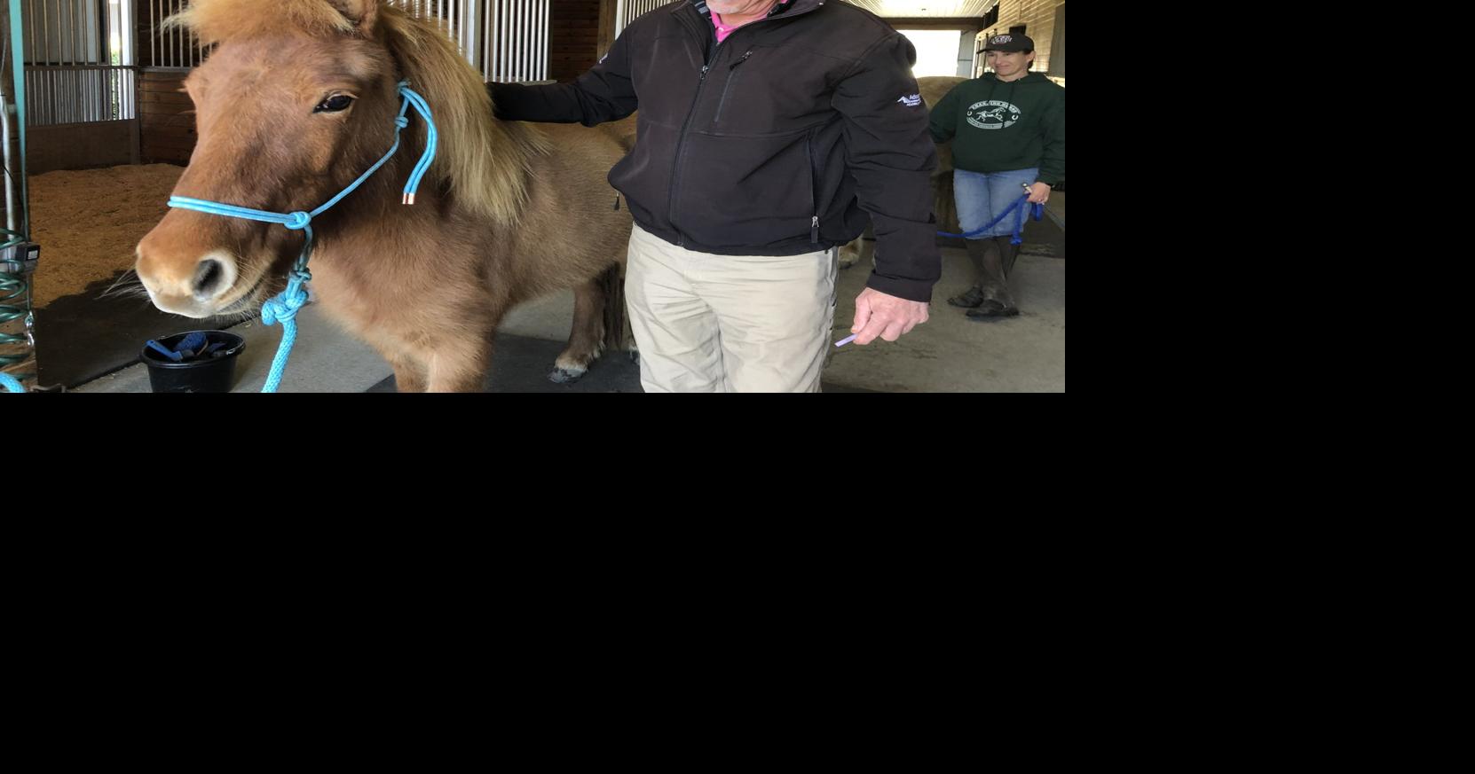 Veterinarian Earns Prancing Horse 'Hero