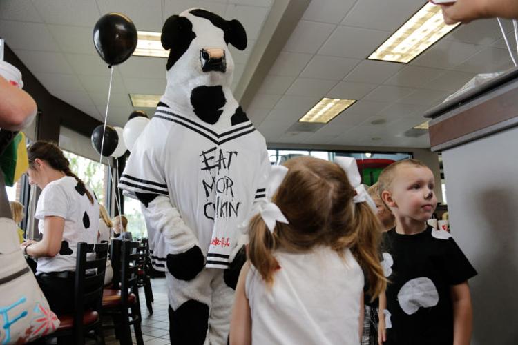 Cow Day at ChickFilA in Southern Pines Multimedia