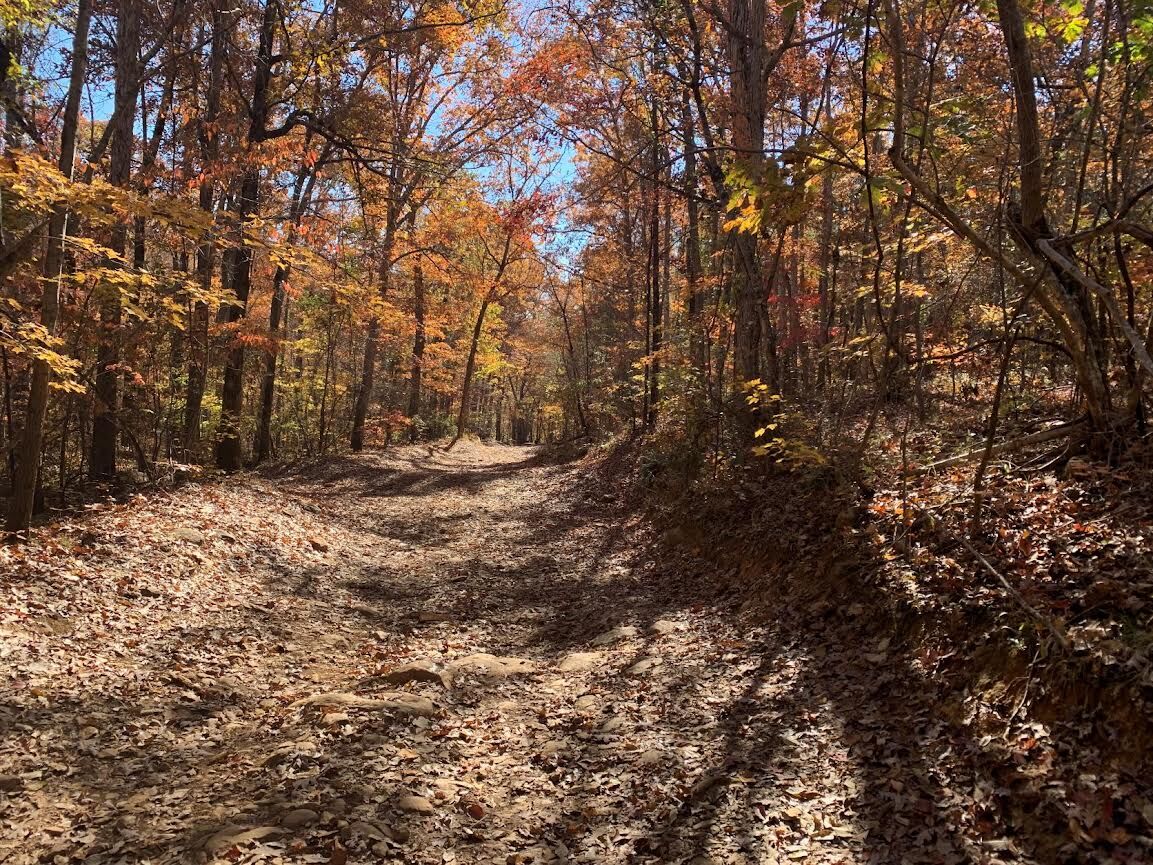 uwharrie trails