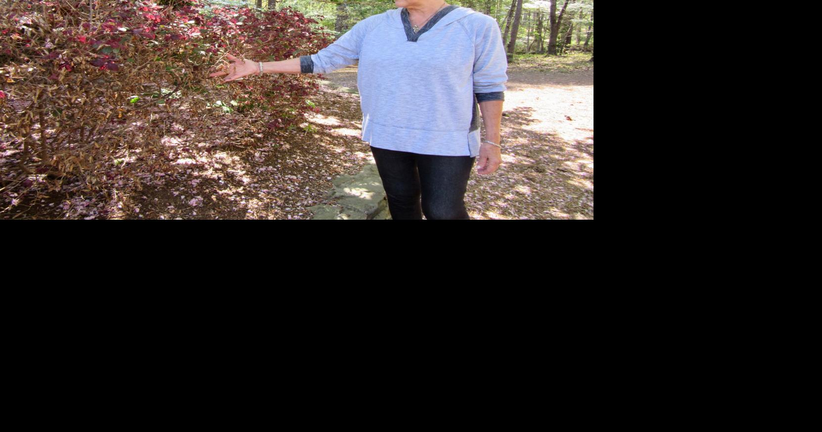 Can This Plant Be Saved? Plant Clinic Offers Answers Features