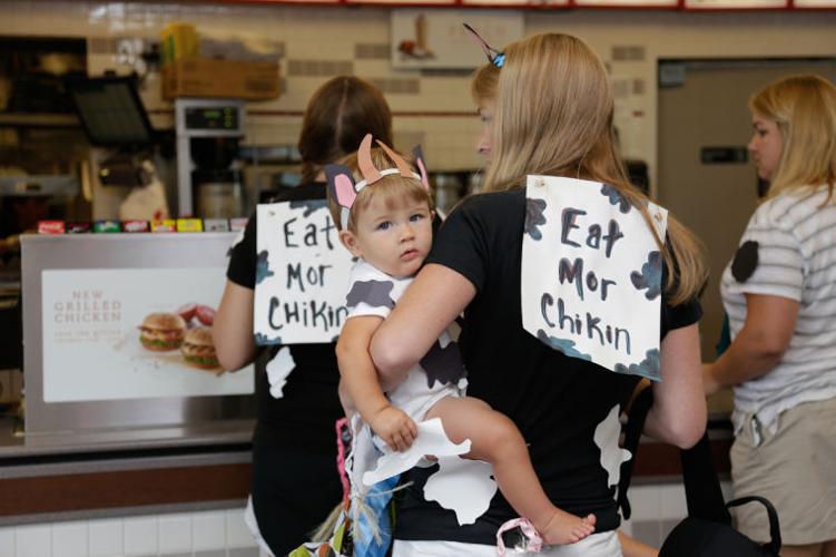 Cow Day at ChickFilA in Southern Pines Multimedia